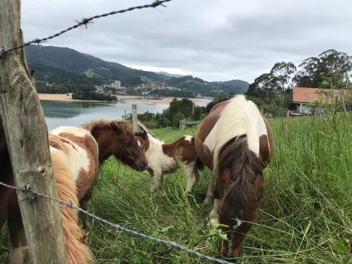 Hemingway Casa Rural Kanala Canala Esterno foto